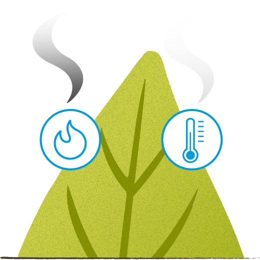 leaf with heating and burning icon